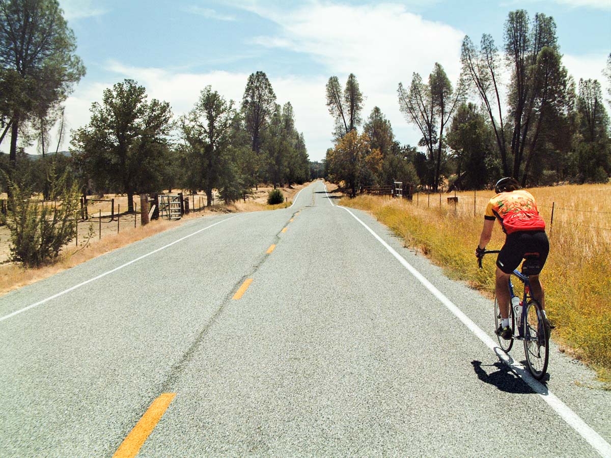 A cyclist in lycra rides through a very remote agricultural landscape. The road goes straight over slight rises and dips to the image's vanishing point. Grazing land with brown grasses are on both sides of the road, with occasional tall trees. The landscape looks dry.