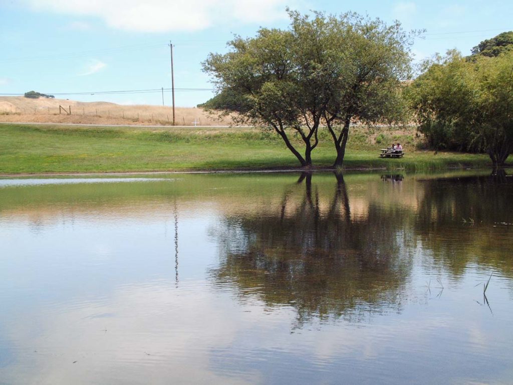 A pond reflects a few small trees on a pleasant-looking day with a few clouds in a blue sky. Two people sit at a picnic table on the far side of the pond. A road is behind them; on the far side of the road is a pasture fence, and the grass turns from green to brown.