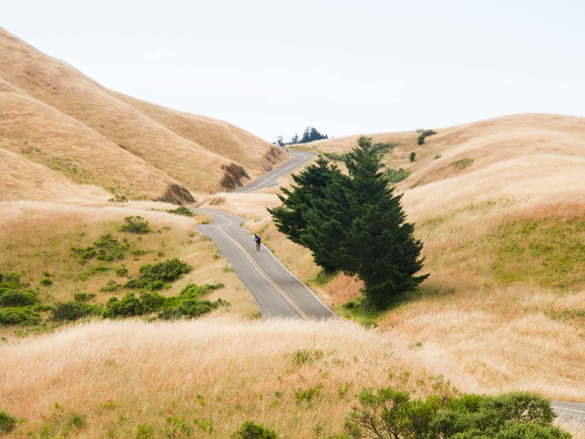 A road meanders along the contours of a mountain covered in golden grassy fields. A bicyclist is seen from a far distance, having just passed underneath an overhanging oak tree. The bicyclist is climbing the hill, heading towards the point on the horizon where the road disappears over the hill,=.