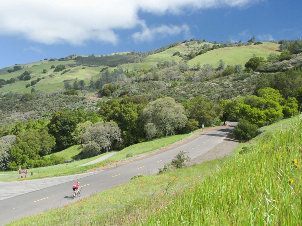 A lone cyclist climbs a hill through a rugged landscape. The hillsides are mostly grassy and green, dotted with oak trees. One ridge in the mid-ground is chaparral-covered. It looks like a pleasant day; the sky is blue with wispy clouds.