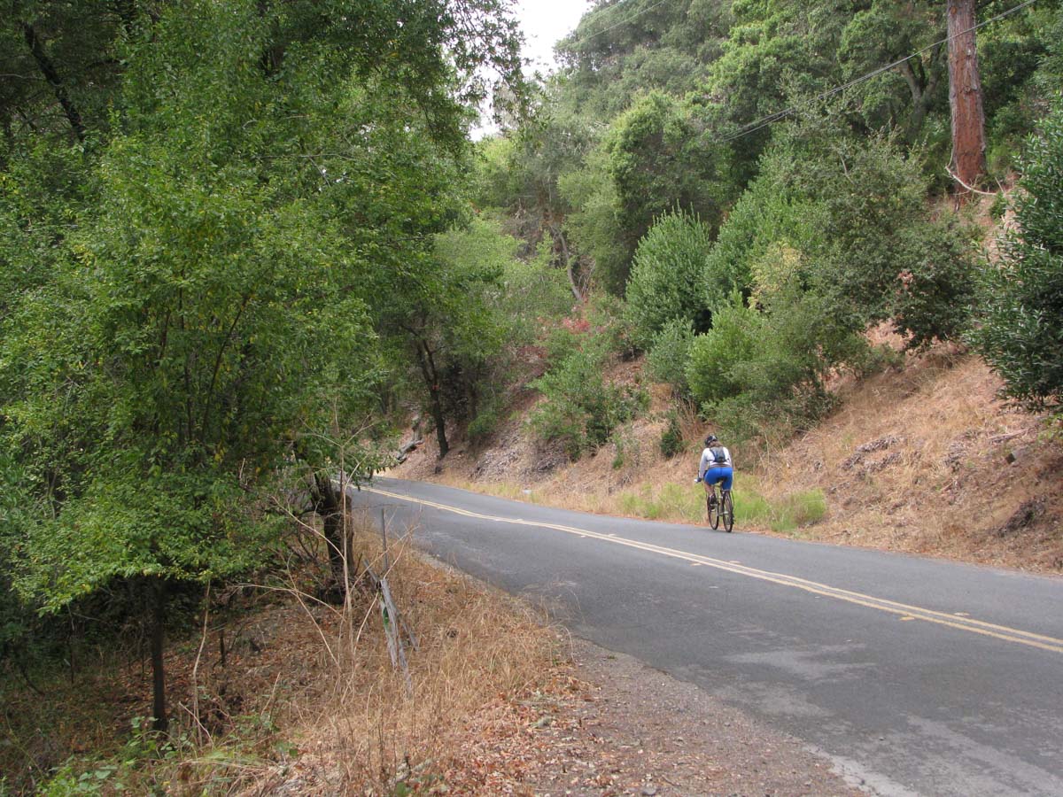 A lone bicyclist rides on a rural road on a partly cloudy day. The road goes through a steep canyon with chaparral and small trees.